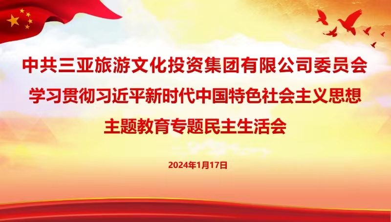 三亚旅游文化发展集团有限公司 三亚旅游文化发展集团有限公司