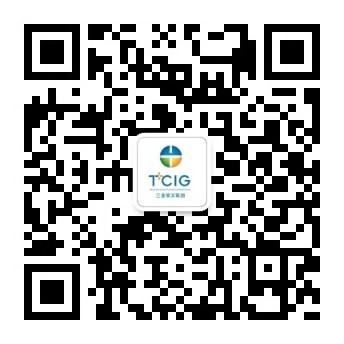 三亚旅游文化发展集团有限公司