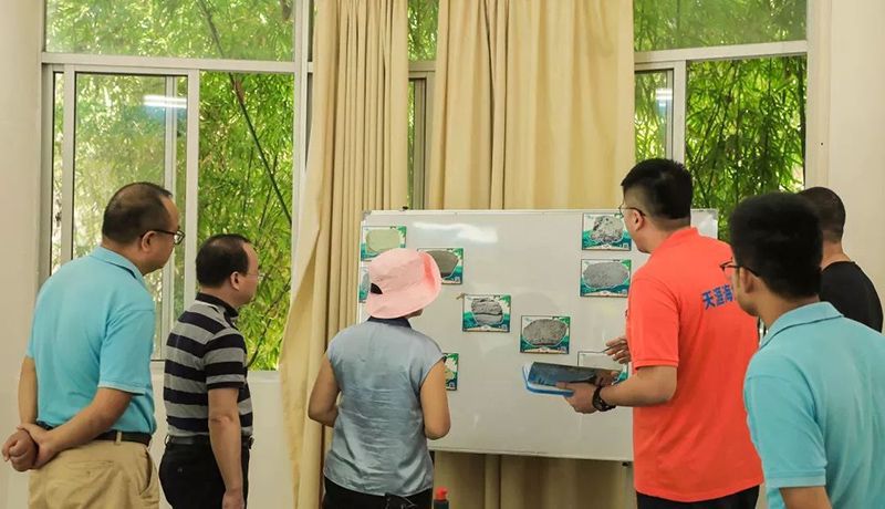 三亚旅游文化发展集团有限公司 三亚旅游文化发展集团有限公司