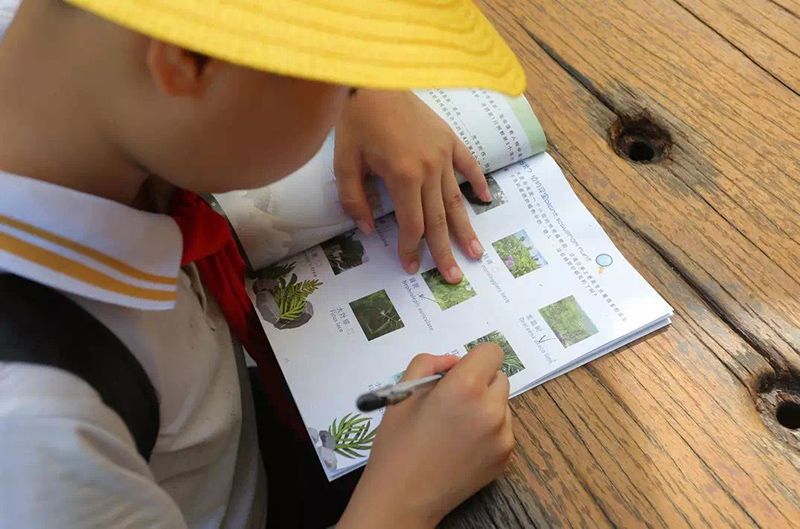 三亚旅游文化发展集团有限公司 三亚旅游文化发展集团有限公司