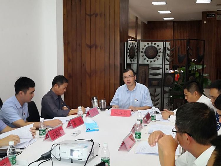 三亚旅游文化发展集团有限公司 三亚旅游文化发展集团有限公司