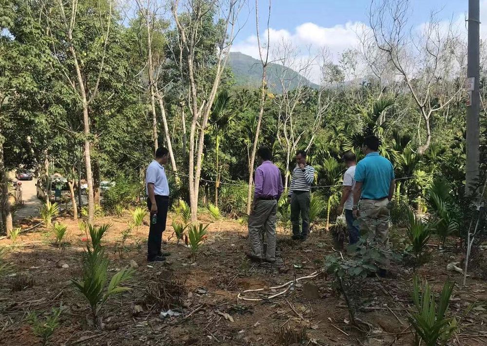 三亚旅游文化发展集团有限公司