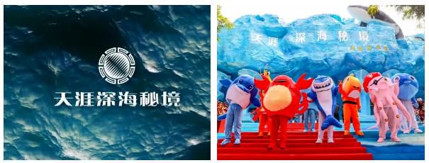 三亚旅游文化发展集团有限公司