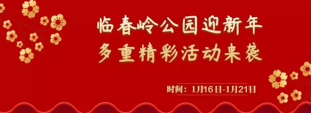 三亚旅游文化发展集团有限公司