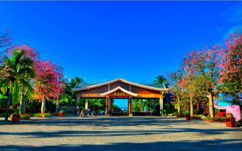 三亚旅游文化发展集团有限公司