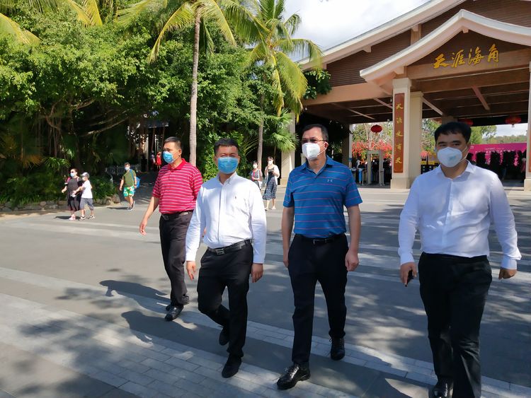 三亚旅游文化发展集团有限公司 三亚旅游文化发展集团有限公司