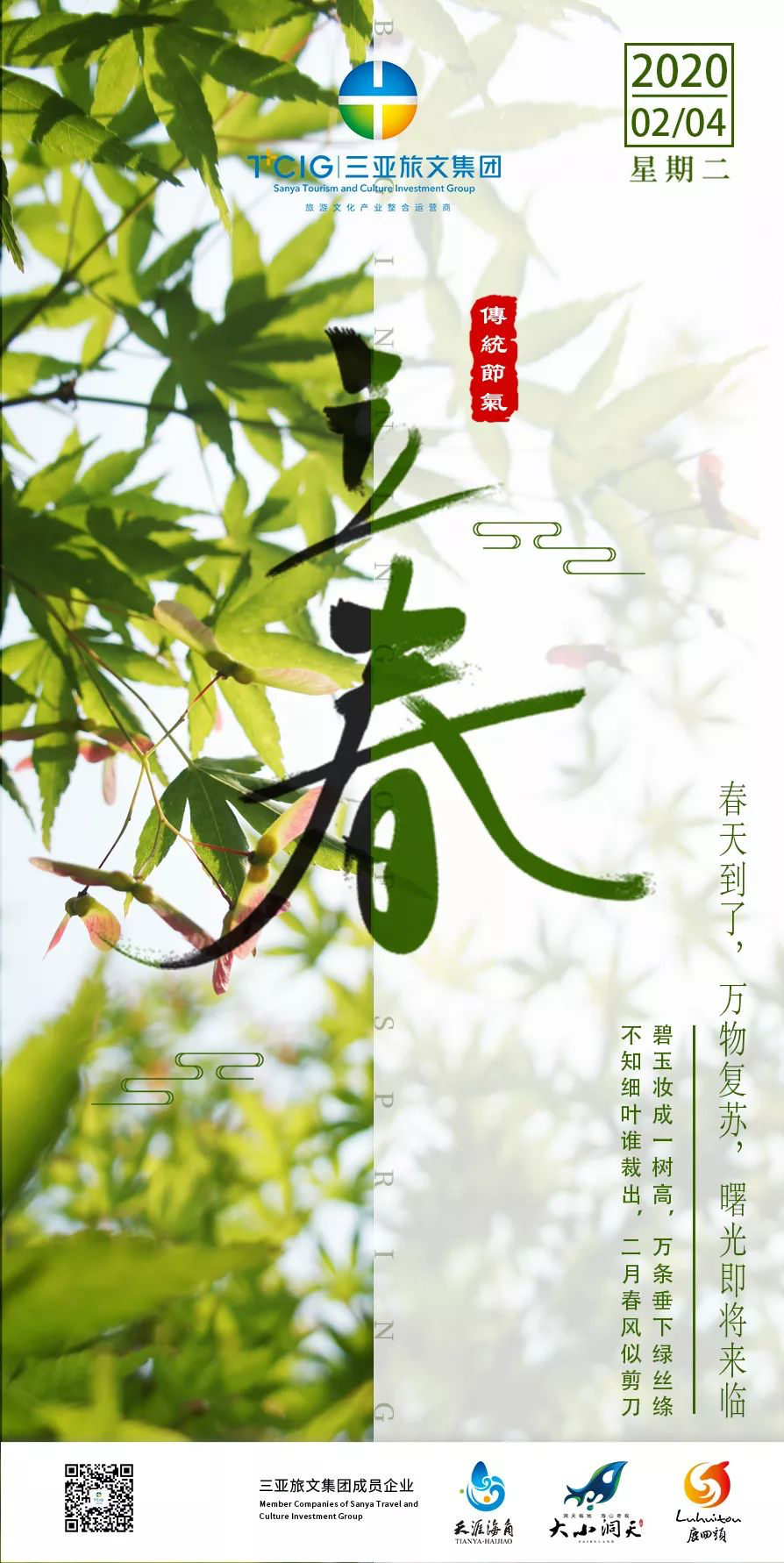 三亚旅游文化发展集团有限公司 三亚旅游文化发展集团有限公司