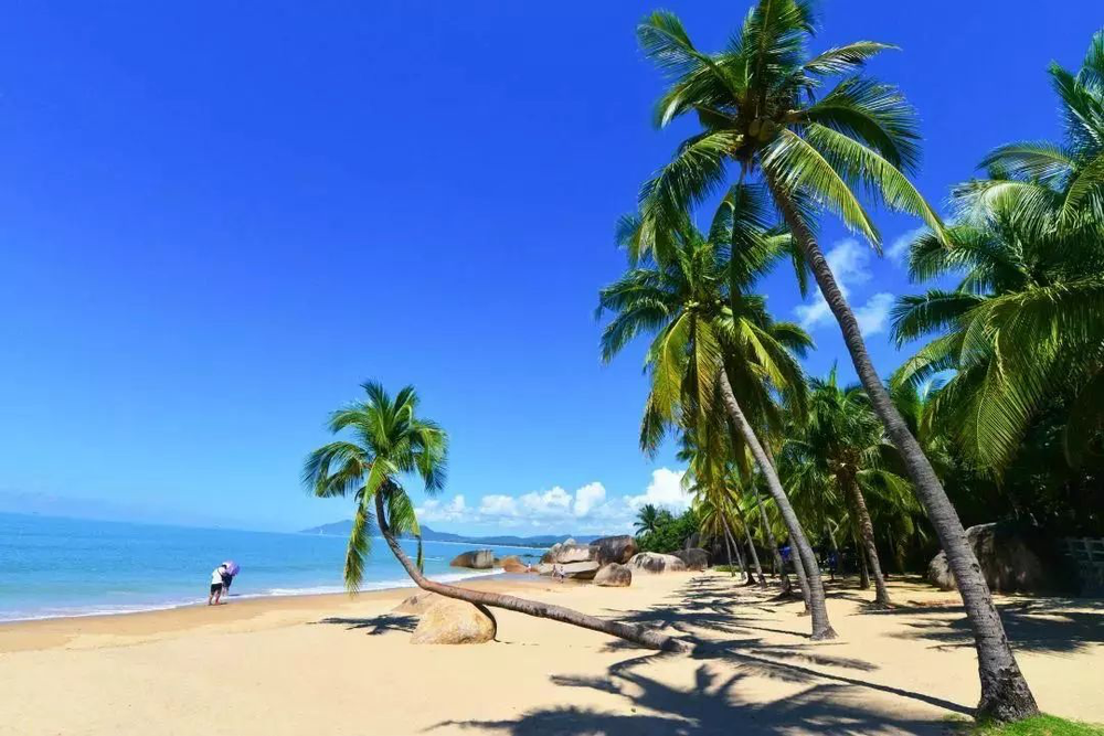 三亚旅游文化发展集团有限公司 三亚旅游文化发展集团有限公司