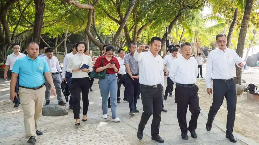 三亚旅游文化发展集团有限公司 三亚旅游文化发展集团有限公司