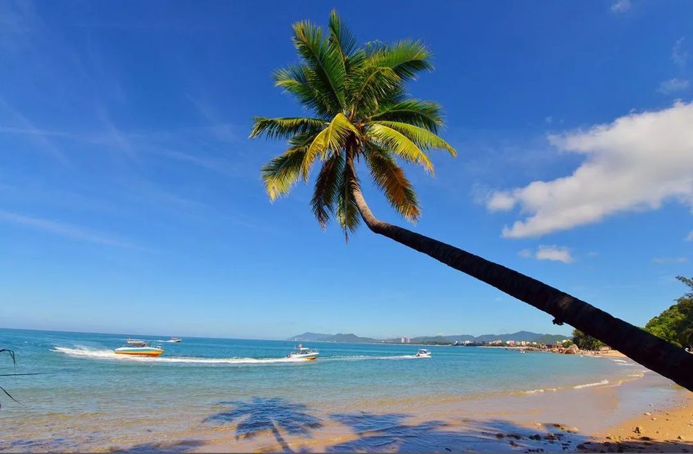 三亚旅游文化发展集团有限公司