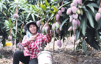 三亚旅游文化发展集团有限公司