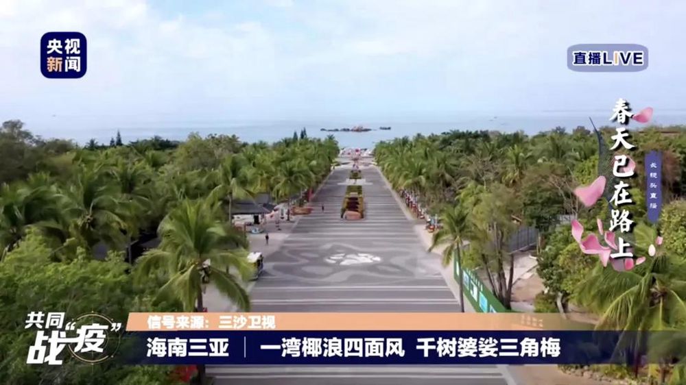 三亚旅游文化发展集团有限公司