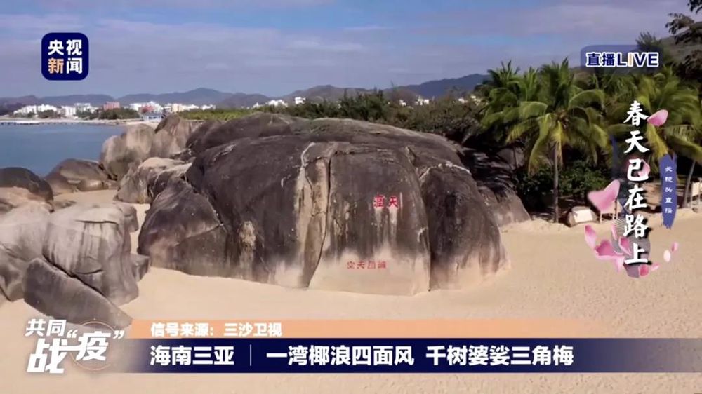 三亚旅游文化发展集团有限公司