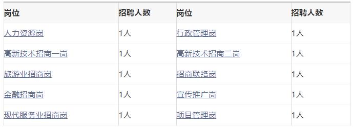 三亚旅游文化发展集团有限公司 三亚旅游文化发展集团有限公司