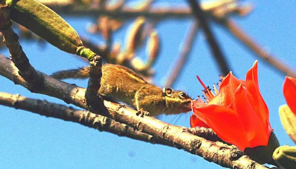 三亚旅游文化发展集团有限公司 三亚旅游文化发展集团有限公司