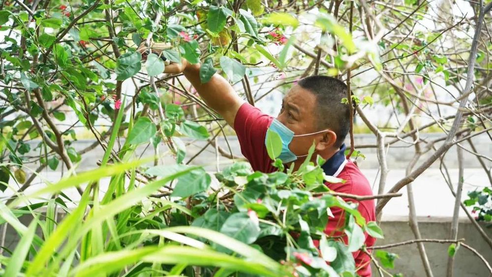 三亚旅游文化发展集团有限公司