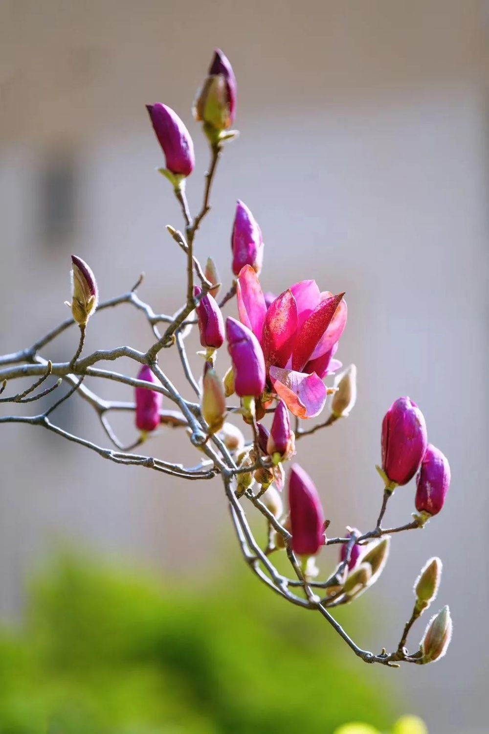 三亚旅游文化发展集团有限公司 三亚旅游文化发展集团有限公司