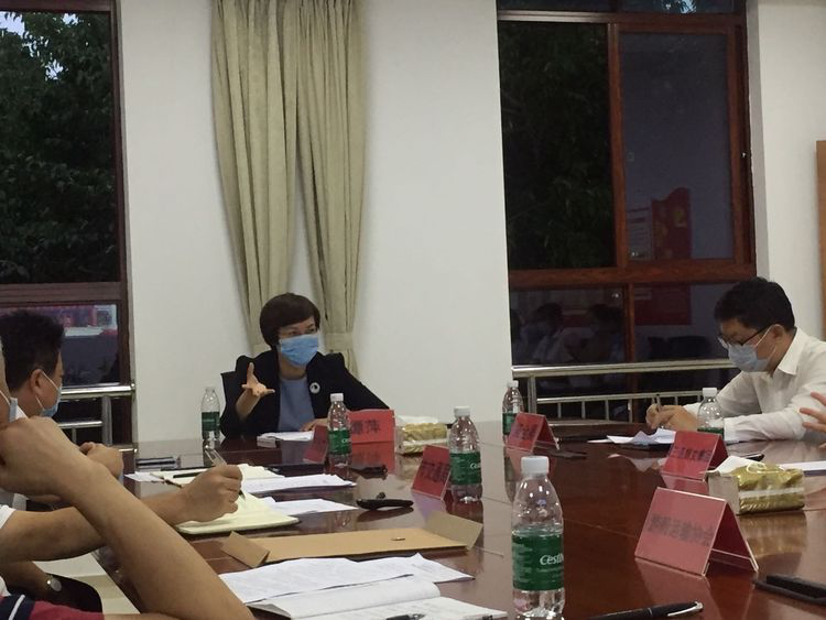 三亚旅游文化发展集团有限公司 三亚旅游文化发展集团有限公司