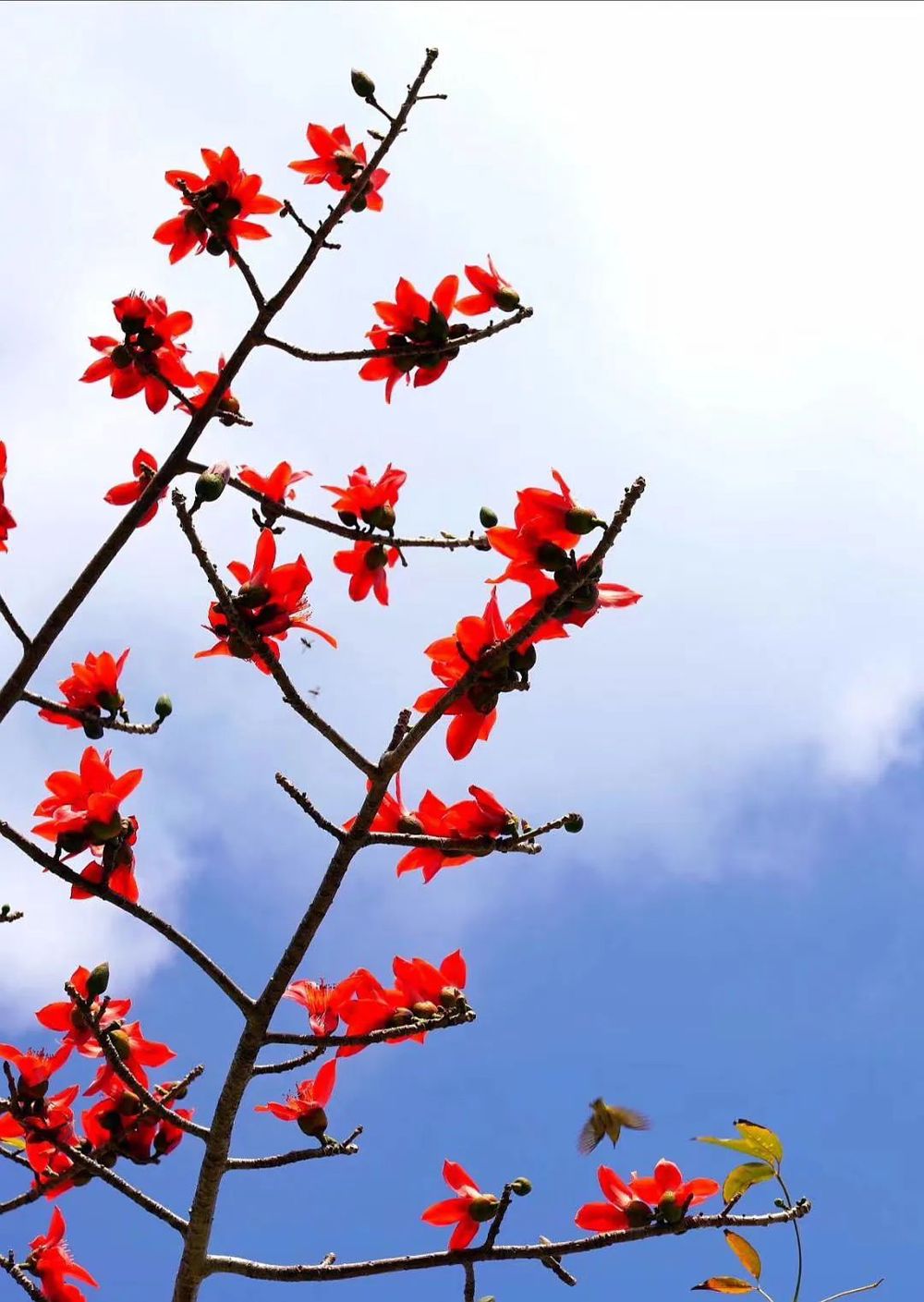 三亚旅游文化发展集团有限公司 三亚旅游文化发展集团有限公司