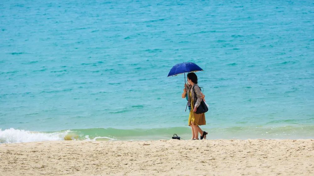 三亚旅游文化发展集团有限公司 三亚旅游文化发展集团有限公司