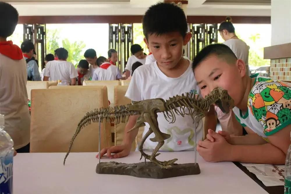 三亚旅游文化发展集团有限公司 三亚旅游文化发展集团有限公司