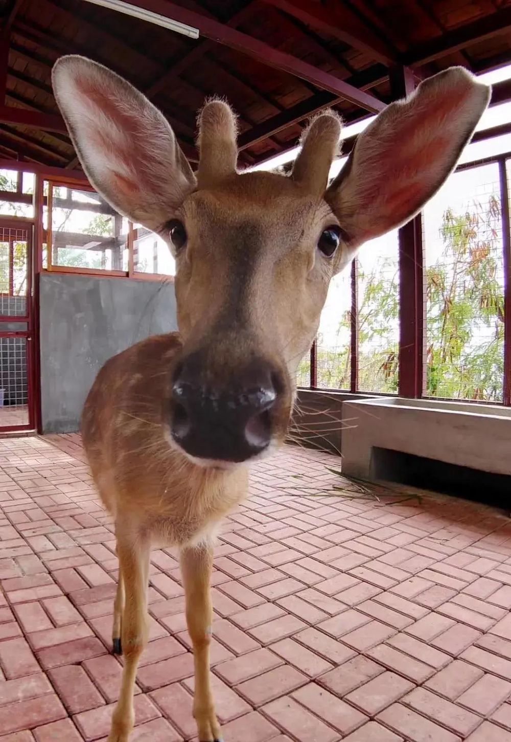 三亚旅游文化发展集团有限公司 三亚旅游文化发展集团有限公司