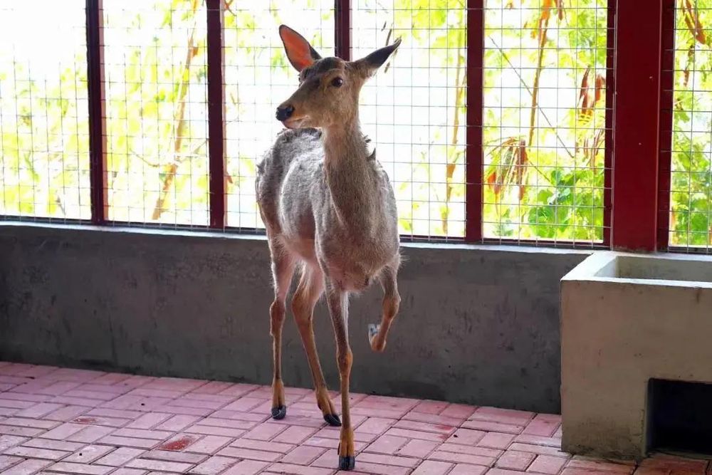 三亚旅游文化发展集团有限公司 三亚旅游文化发展集团有限公司