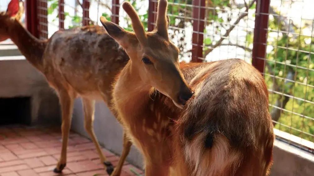三亚旅游文化发展集团有限公司 三亚旅游文化发展集团有限公司