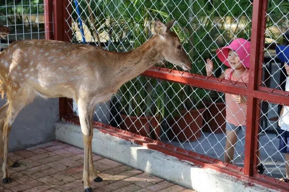 三亚旅游文化发展集团有限公司 三亚旅游文化发展集团有限公司