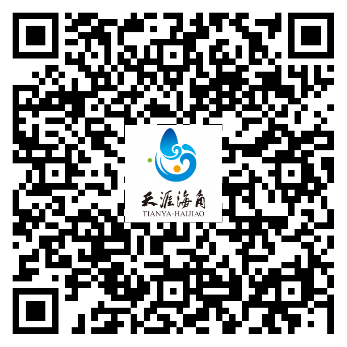 三亚旅游文化发展集团有限公司 三亚旅游文化发展集团有限公司