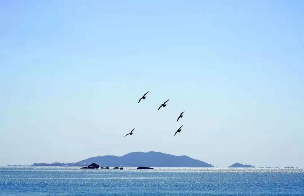 三亚旅游文化发展集团有限公司 三亚旅游文化发展集团有限公司