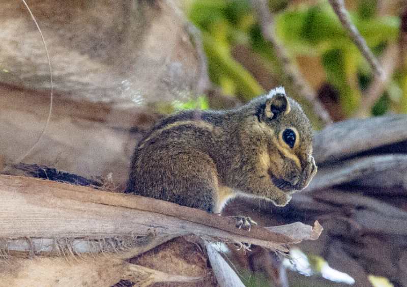 三亚旅游文化发展集团有限公司 三亚旅游文化发展集团有限公司