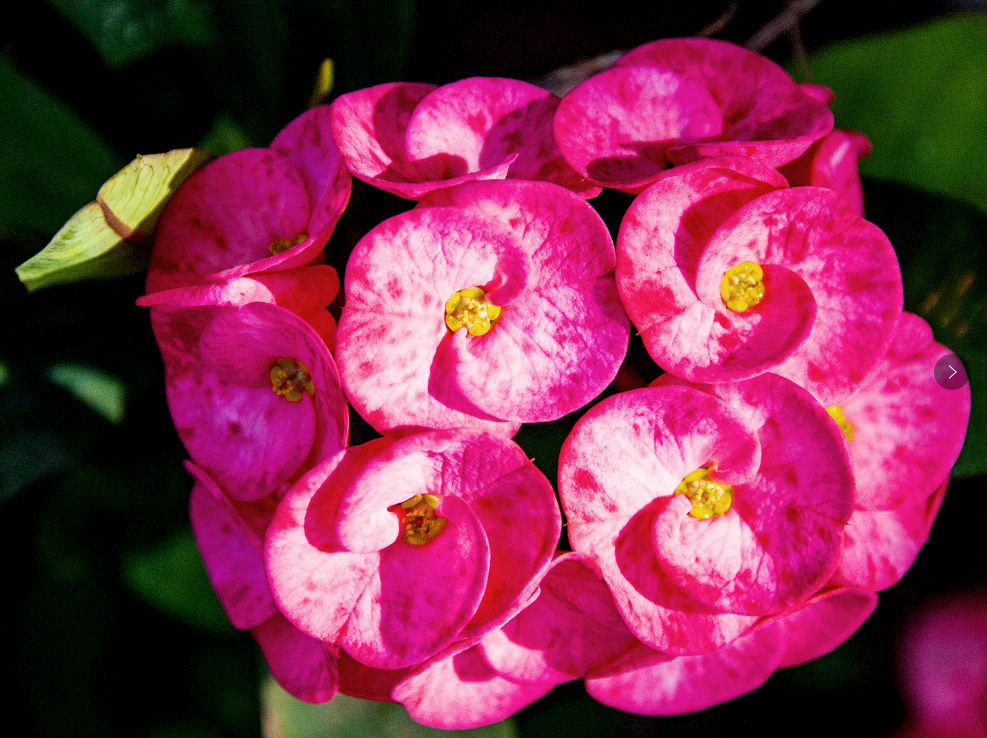 三亚旅游文化发展集团有限公司 三亚旅游文化发展集团有限公司