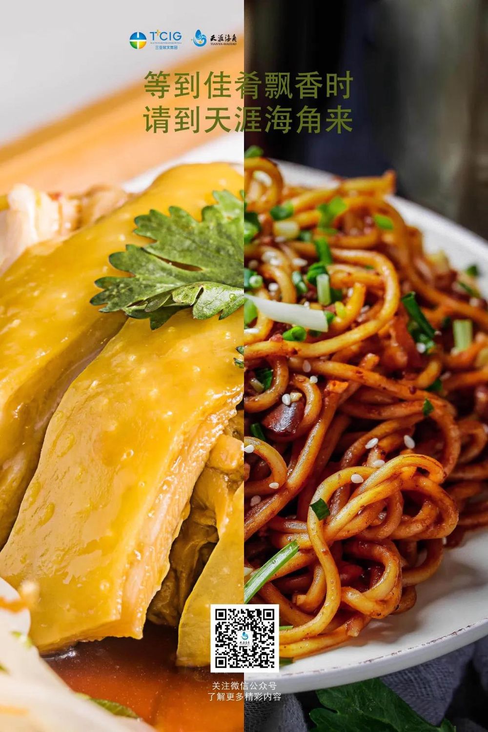 三亚旅游文化发展集团有限公司 三亚旅游文化发展集团有限公司