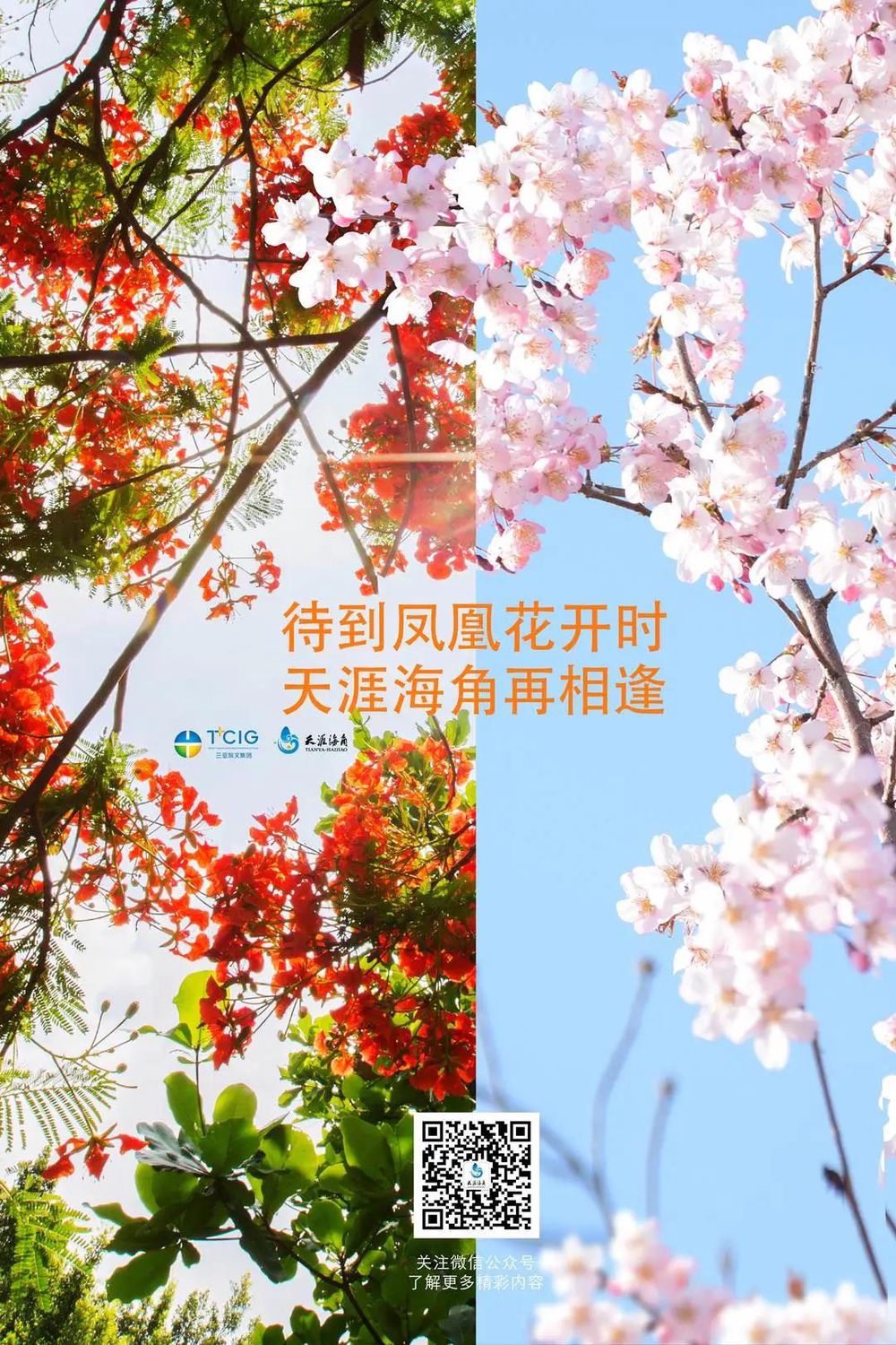 三亚旅游文化发展集团有限公司 三亚旅游文化发展集团有限公司