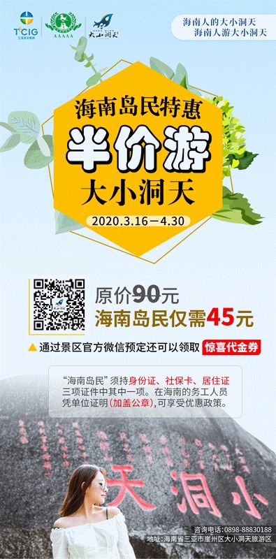 三亚旅游文化发展集团有限公司 三亚旅游文化发展集团有限公司