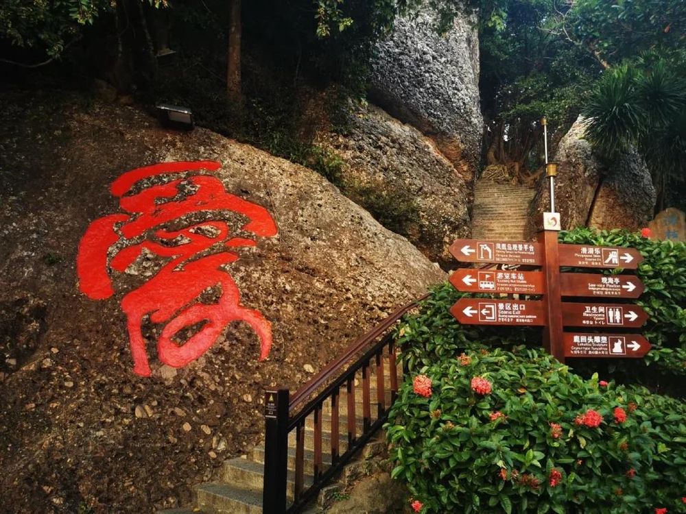 三亚旅游文化发展集团有限公司