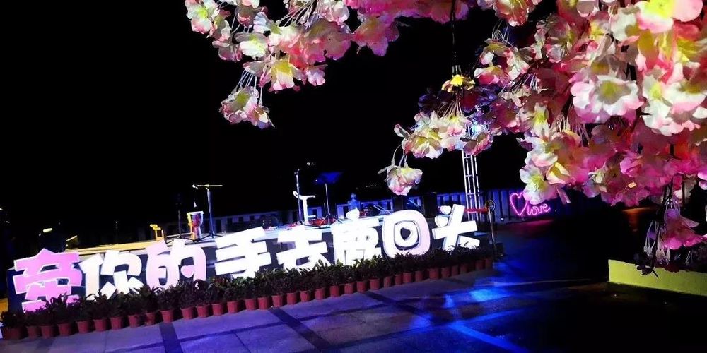 三亚旅游文化发展集团有限公司