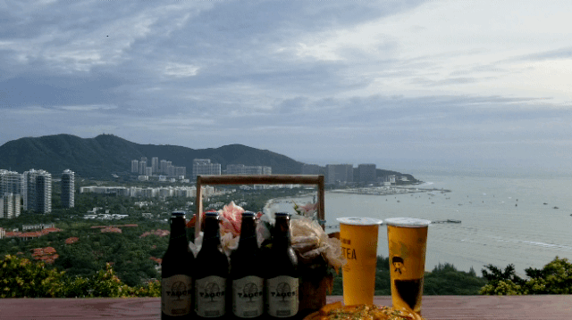 三亚旅游文化发展集团有限公司