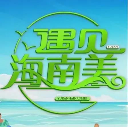 三亚旅游文化发展集团有限公司