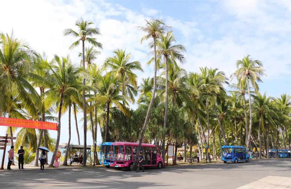 三亚旅游文化发展集团有限公司 三亚旅游文化发展集团有限公司