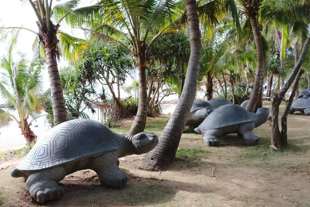 三亚旅游文化发展集团有限公司 三亚旅游文化发展集团有限公司