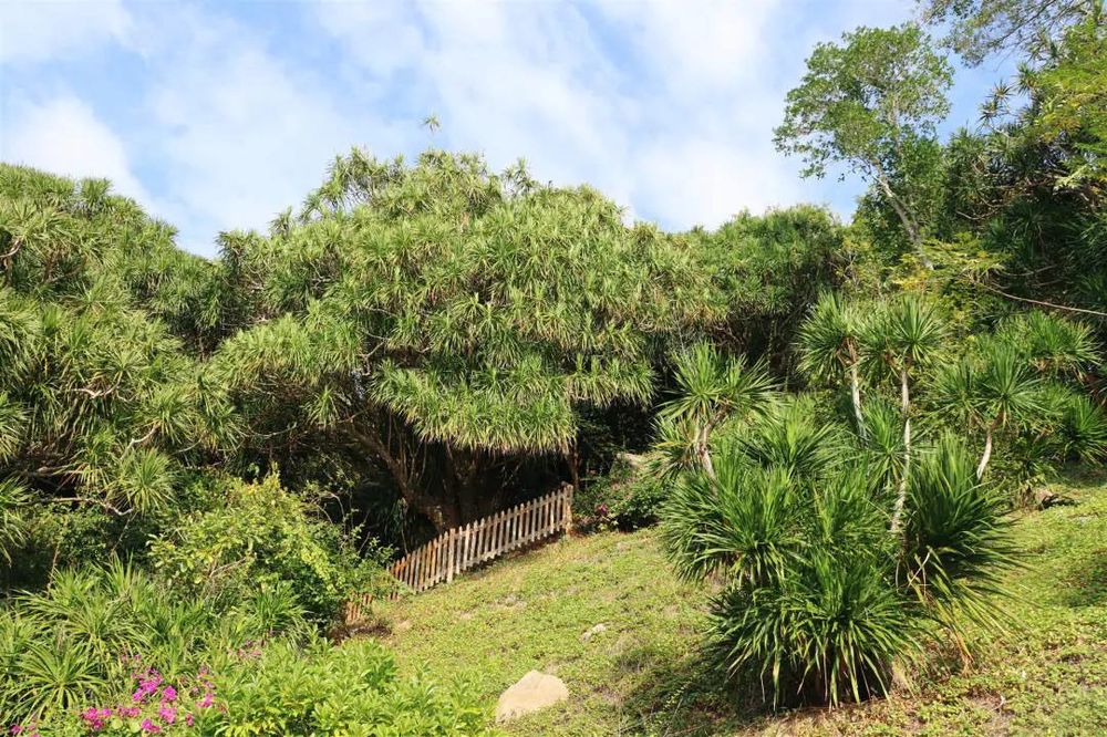 三亚旅游文化发展集团有限公司 三亚旅游文化发展集团有限公司