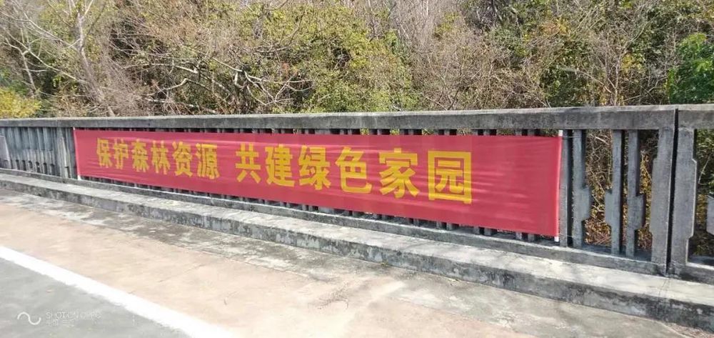 三亚旅游文化发展集团有限公司 三亚旅游文化发展集团有限公司