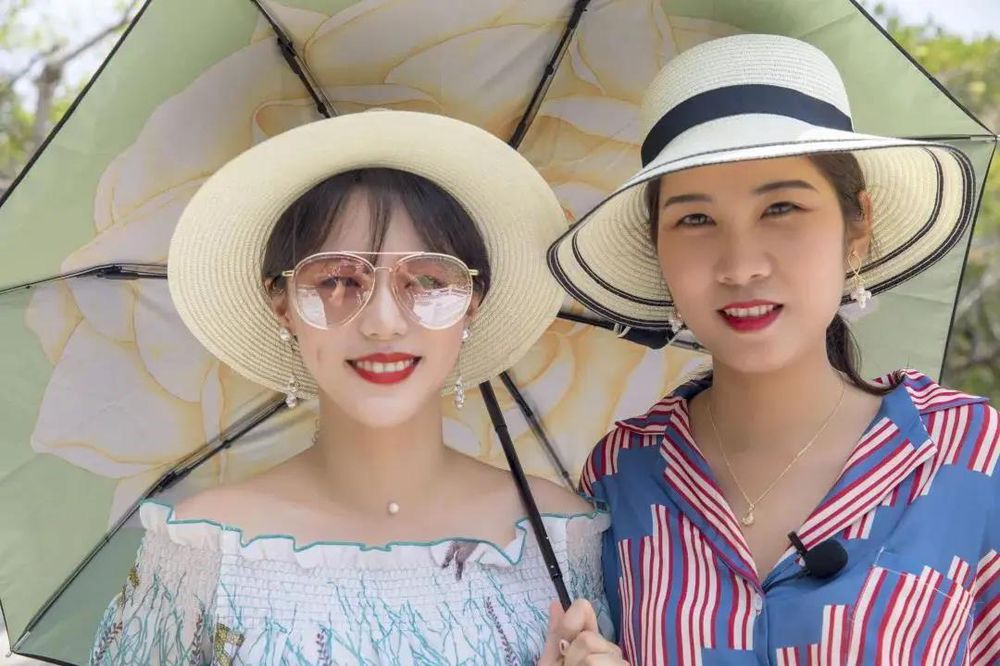 三亚旅游文化发展集团有限公司 三亚旅游文化发展集团有限公司