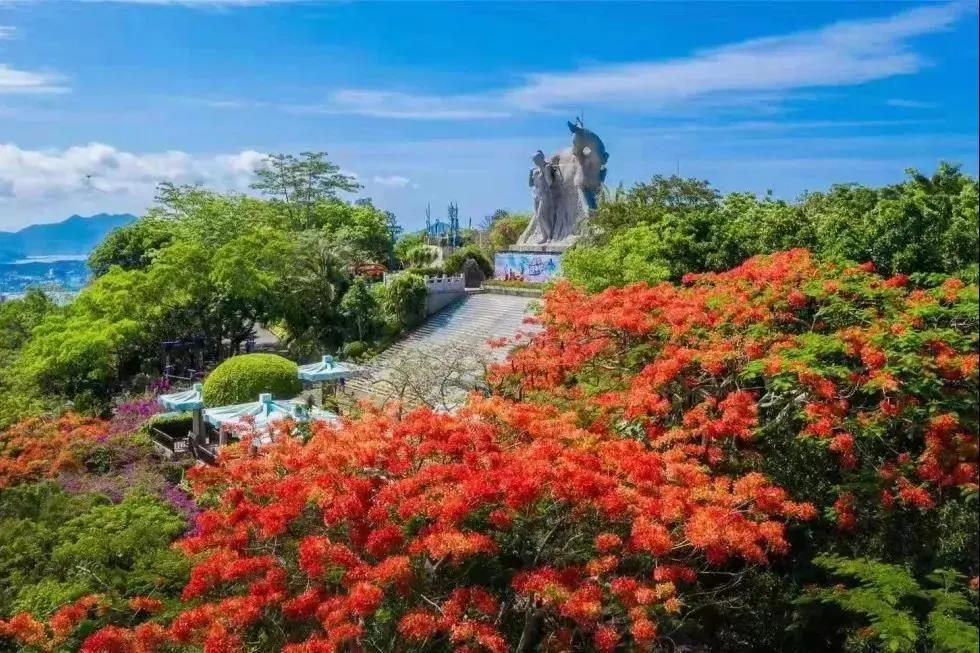 三亚旅游文化发展集团有限公司 三亚旅游文化发展集团有限公司