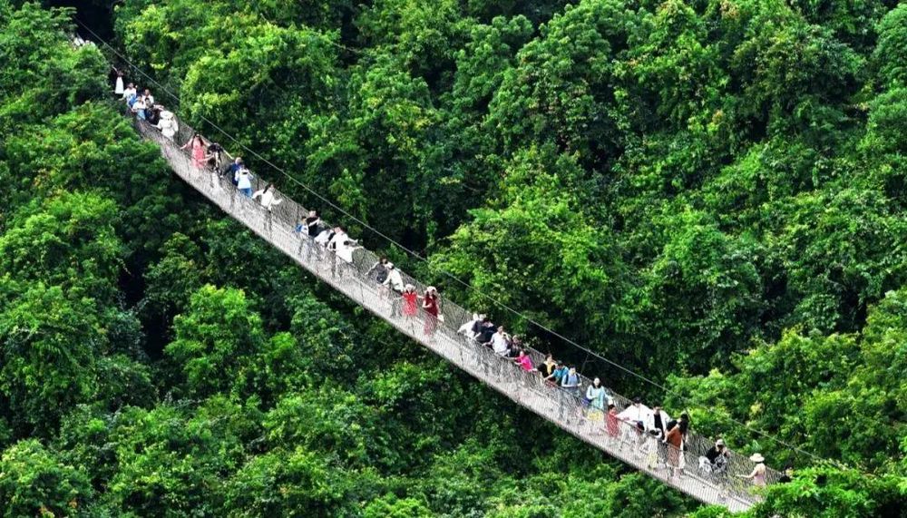 三亚旅游文化发展集团有限公司 三亚旅游文化发展集团有限公司