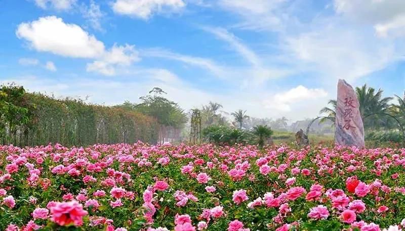 三亚旅游文化发展集团有限公司 三亚旅游文化发展集团有限公司