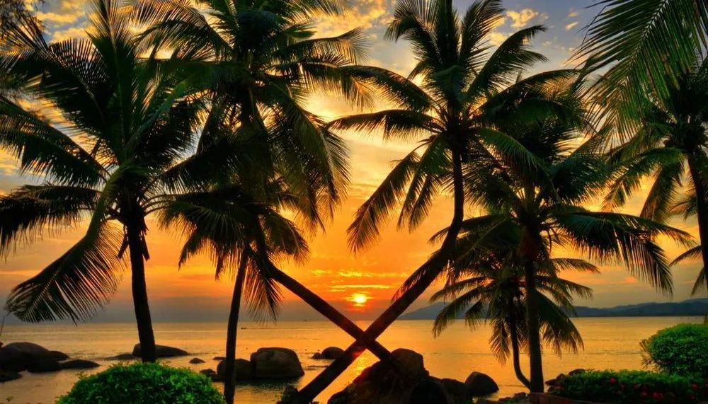 三亚旅游文化发展集团有限公司 三亚旅游文化发展集团有限公司