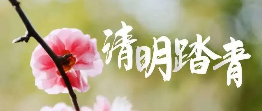 三亚旅游文化发展集团有限公司